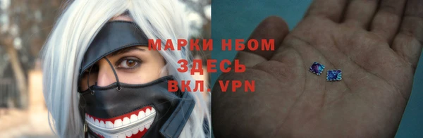 дмт Ладушкин