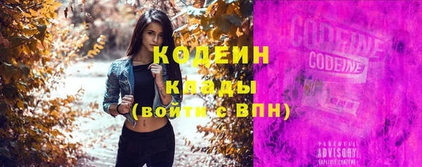 дмт Ладушкин