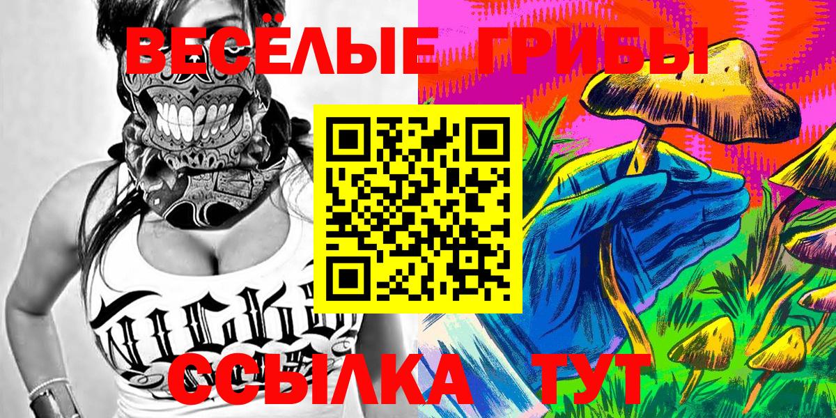 Сухой Лог  Псилоцибиновые грибы Magic Shrooms  Вход с VPN  Галлюциногенные грибы Cubensis 